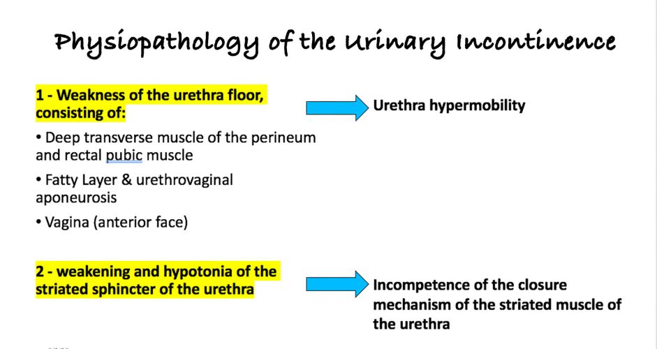 physiopathology-urinary-incontinence