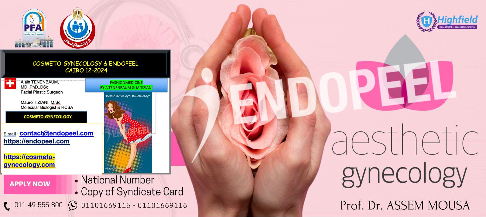 endopeel-cairo-12-2024